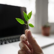 Rifiuti di apparecchiature elettriche ed elettroniche